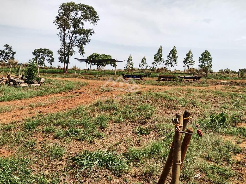 Fazenda à venda com 3 quartos, 14m² - Foto 5