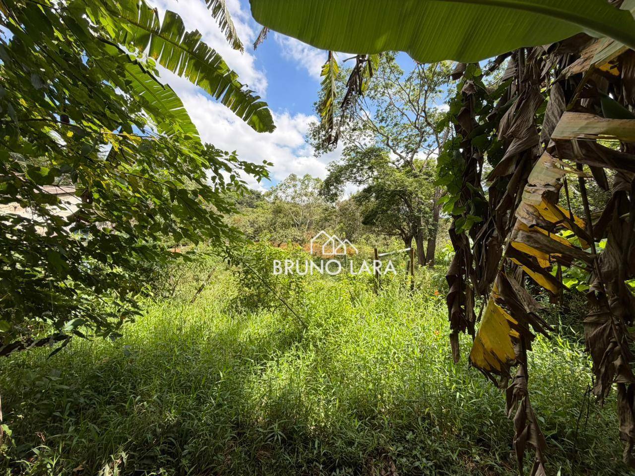 Terreno, 16 hectares - Foto 15