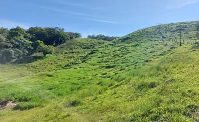 Fazenda à venda com 2 quartos, 47000m² - Foto 24