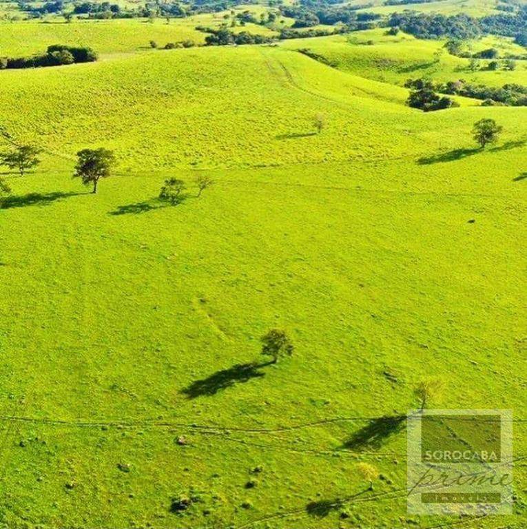 Fazenda à venda, 6050000M2 - Foto 9