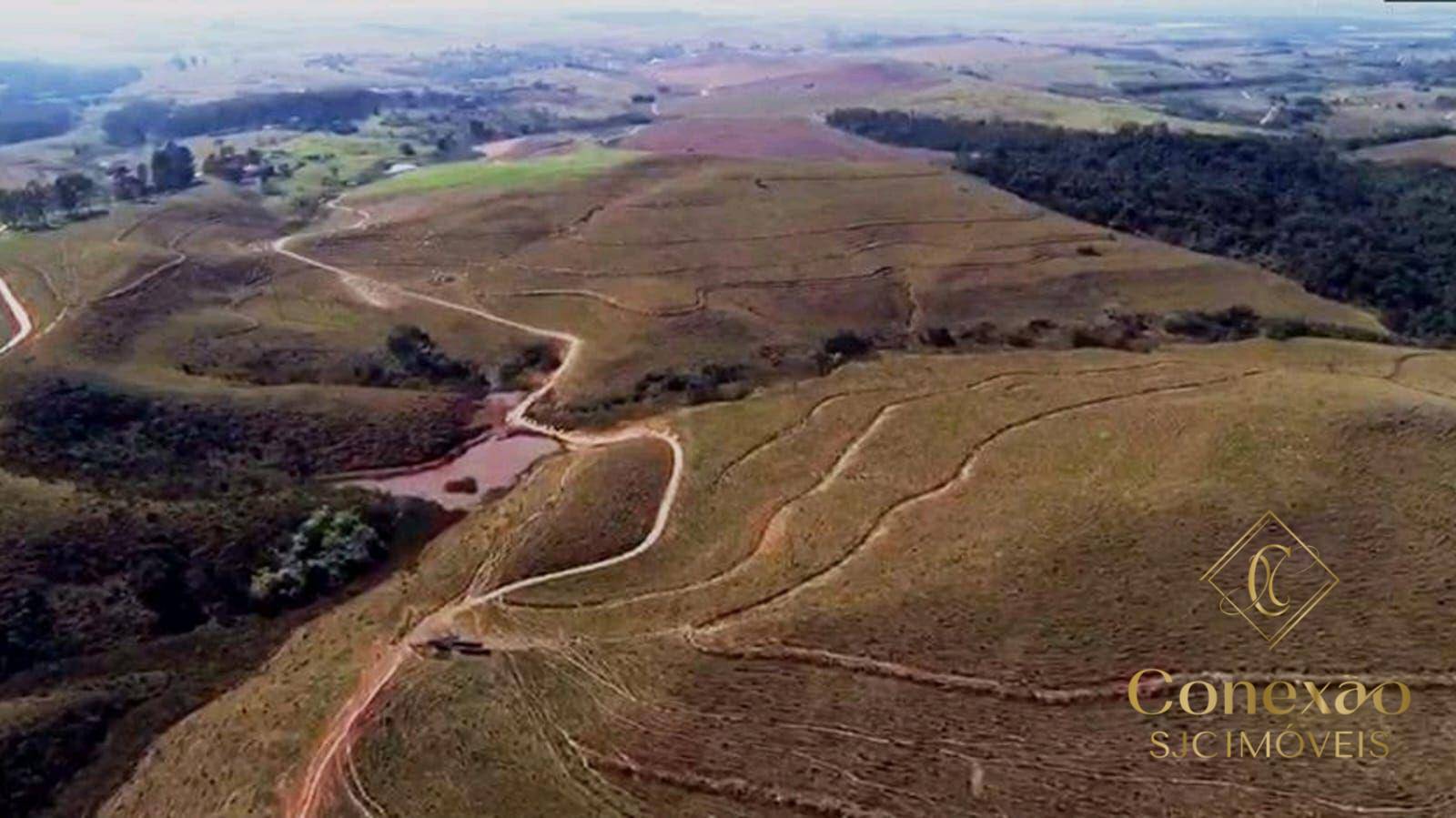 Fazenda, 257 hectares - Foto 19