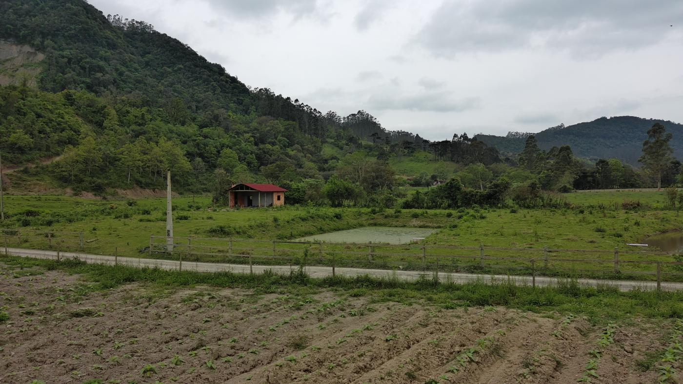 Fazenda à venda com 1 quarto, 10000m² - Foto 34