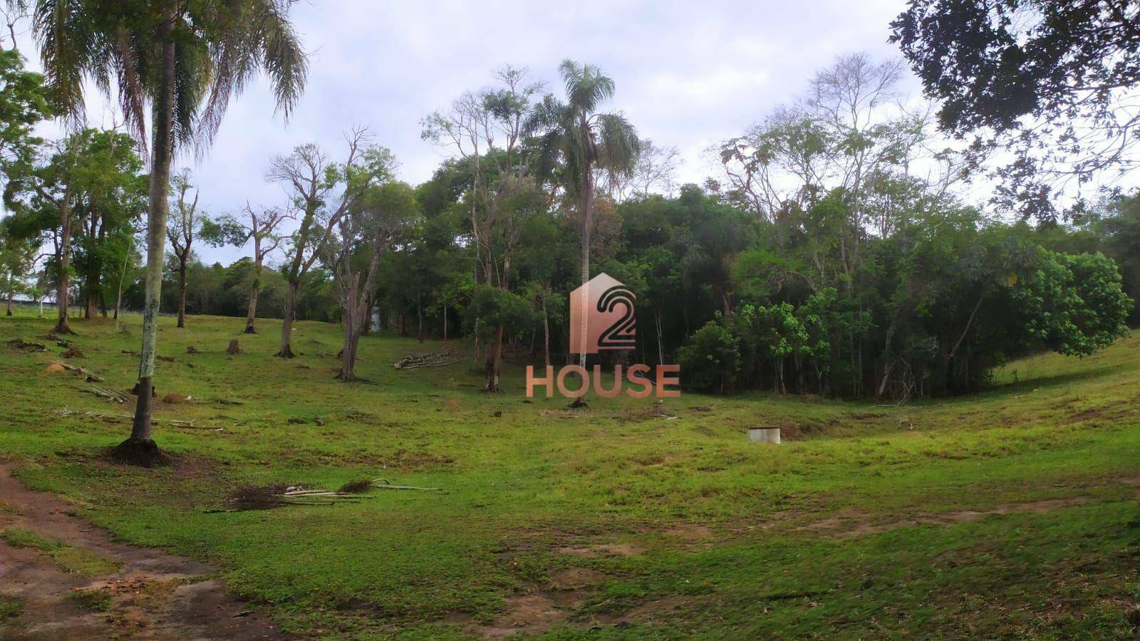 Fazenda à venda com 2 quartos, 133000M2 - Foto 29