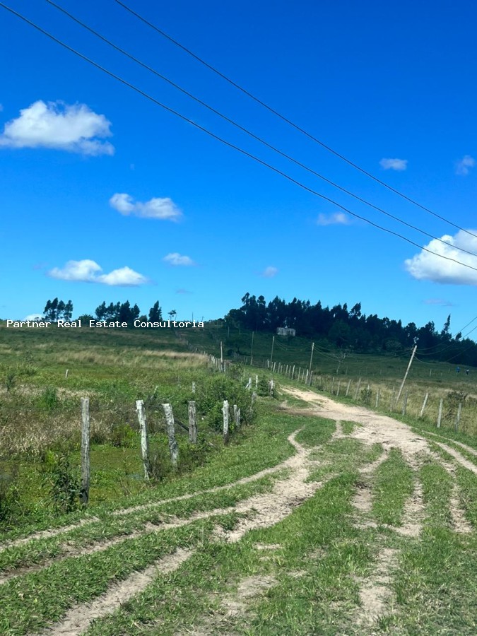 Fazenda à venda com 3 quartos, 52m² - Foto 14