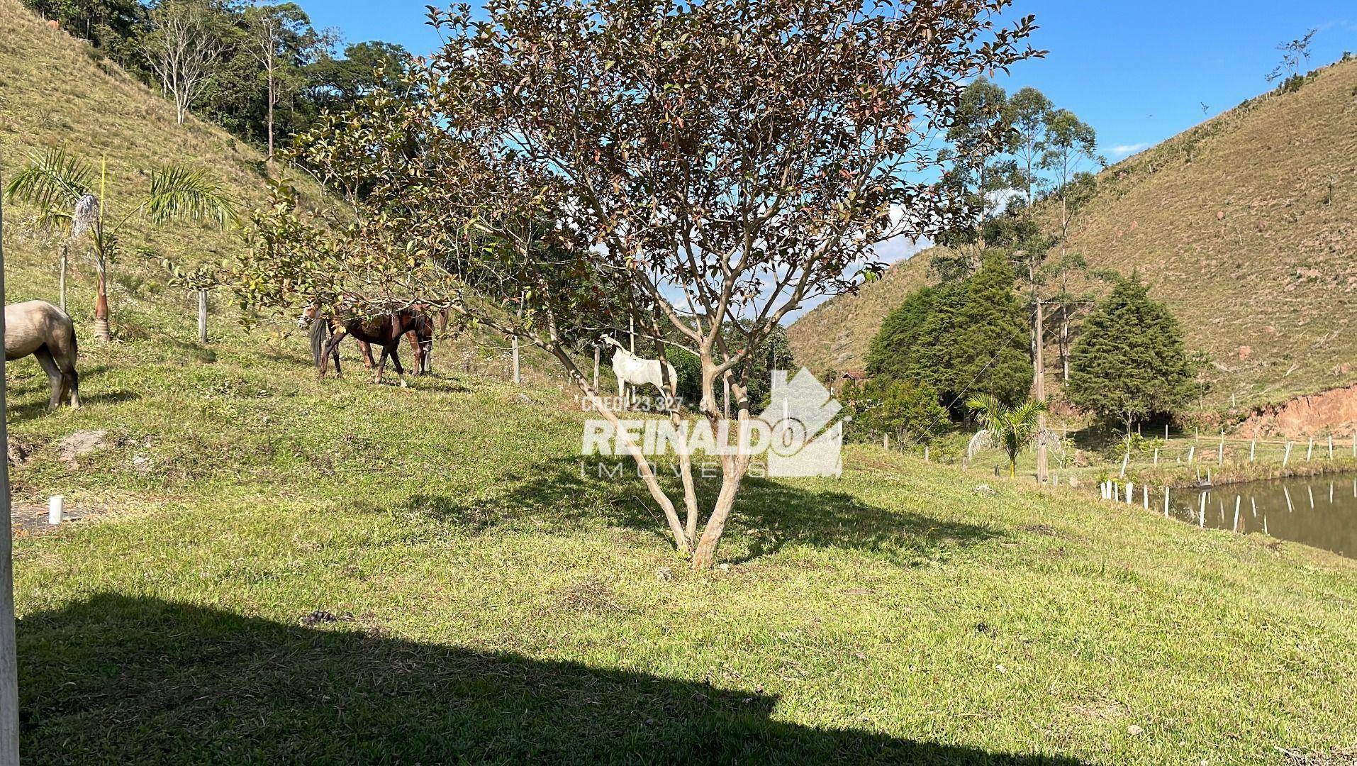 Fazenda à venda com 8 quartos, 900m² - Foto 94