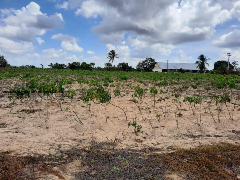 Fazenda à venda com 2 quartos, 14m² - Foto 25