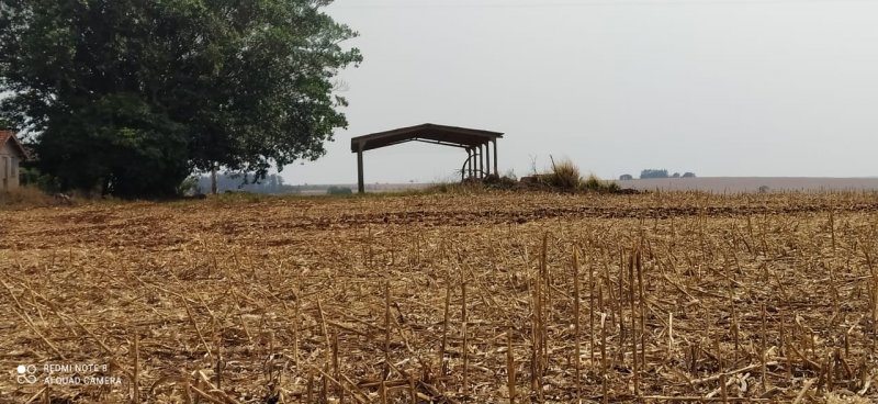 Fazenda, 108 hectares - Foto 8