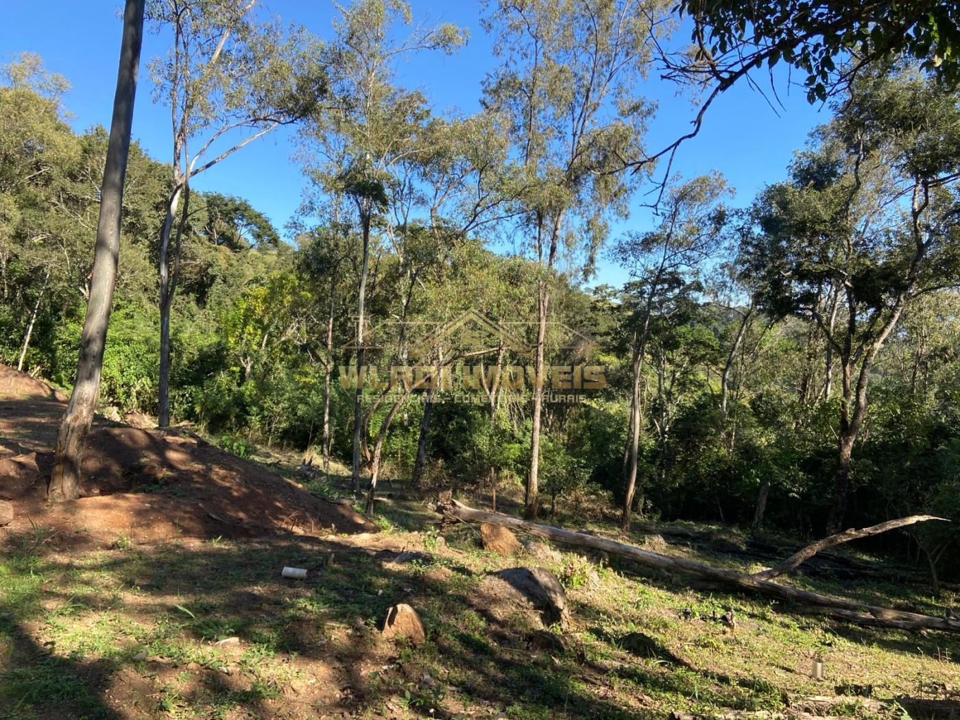 Terreno à venda, 40000m² - Foto 9