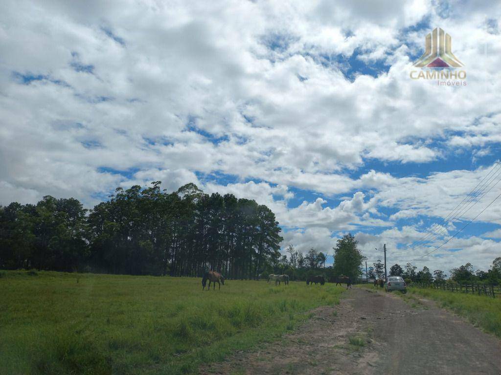 Fazenda à venda, 600000M2 - Foto 15