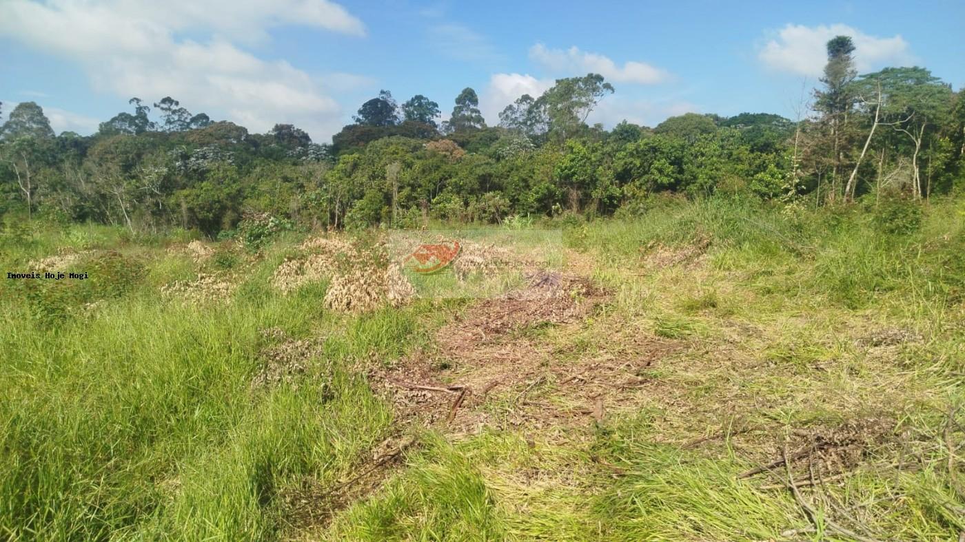 Terreno à venda, 5000m² - Foto 11