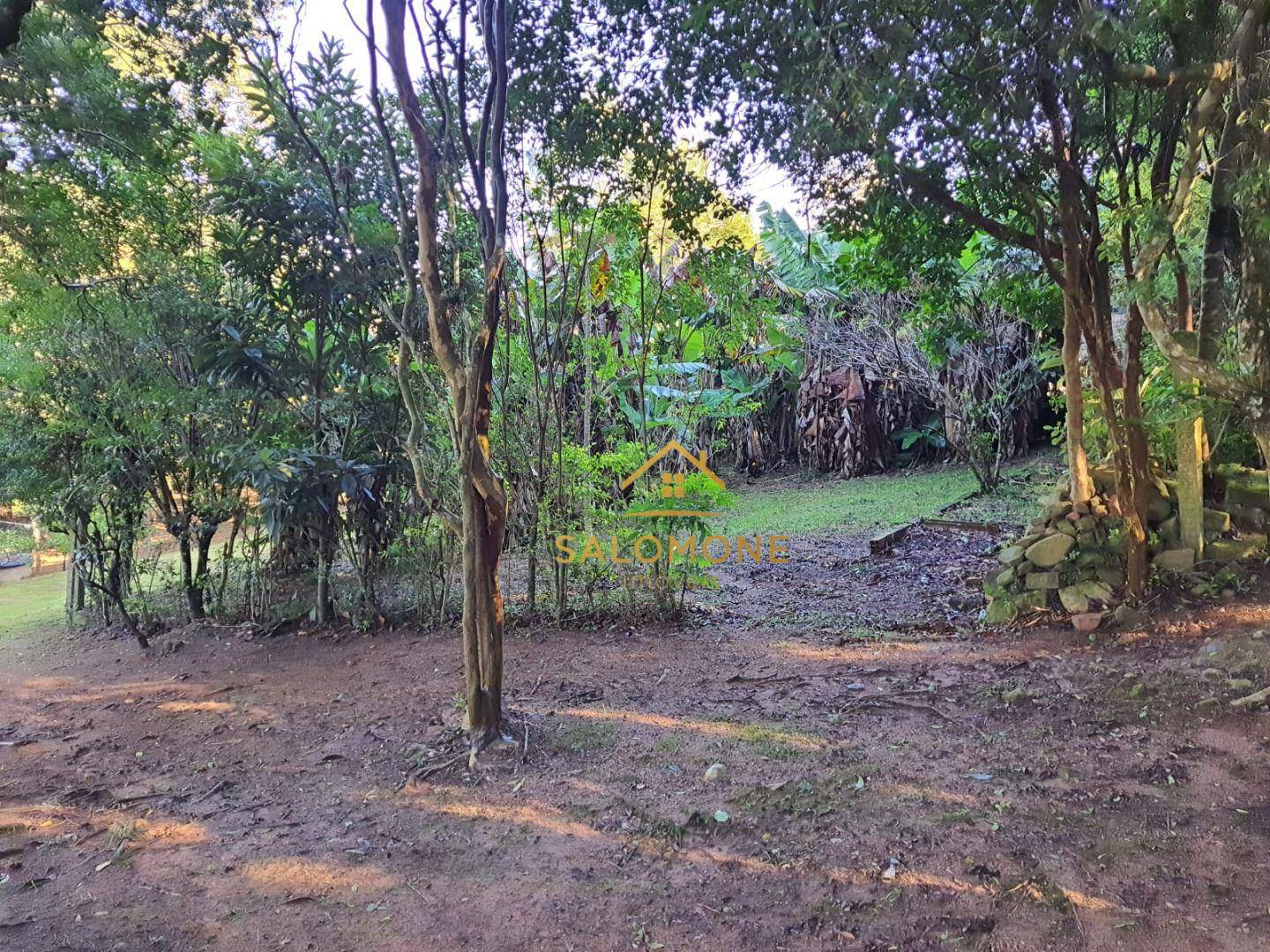 Sítio, 3 quartos, 4000 m² - Foto 3