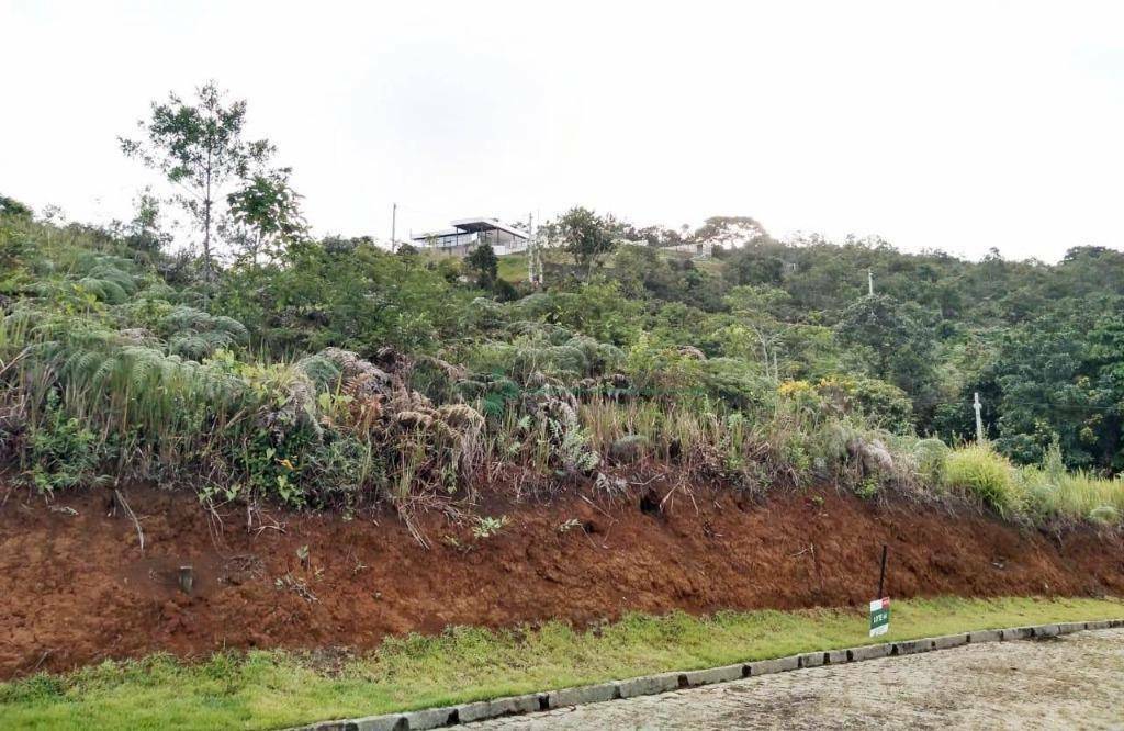 Loteamento e Condomínio à venda, 240M2 - Foto 4