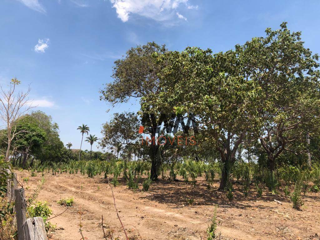 Fazenda-Sítio-Chácara, 1462 hectares - Foto 2