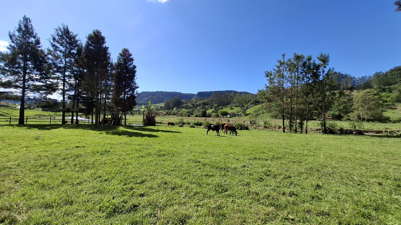 Fazenda à venda com 2 quartos, 8000m² - Foto 7