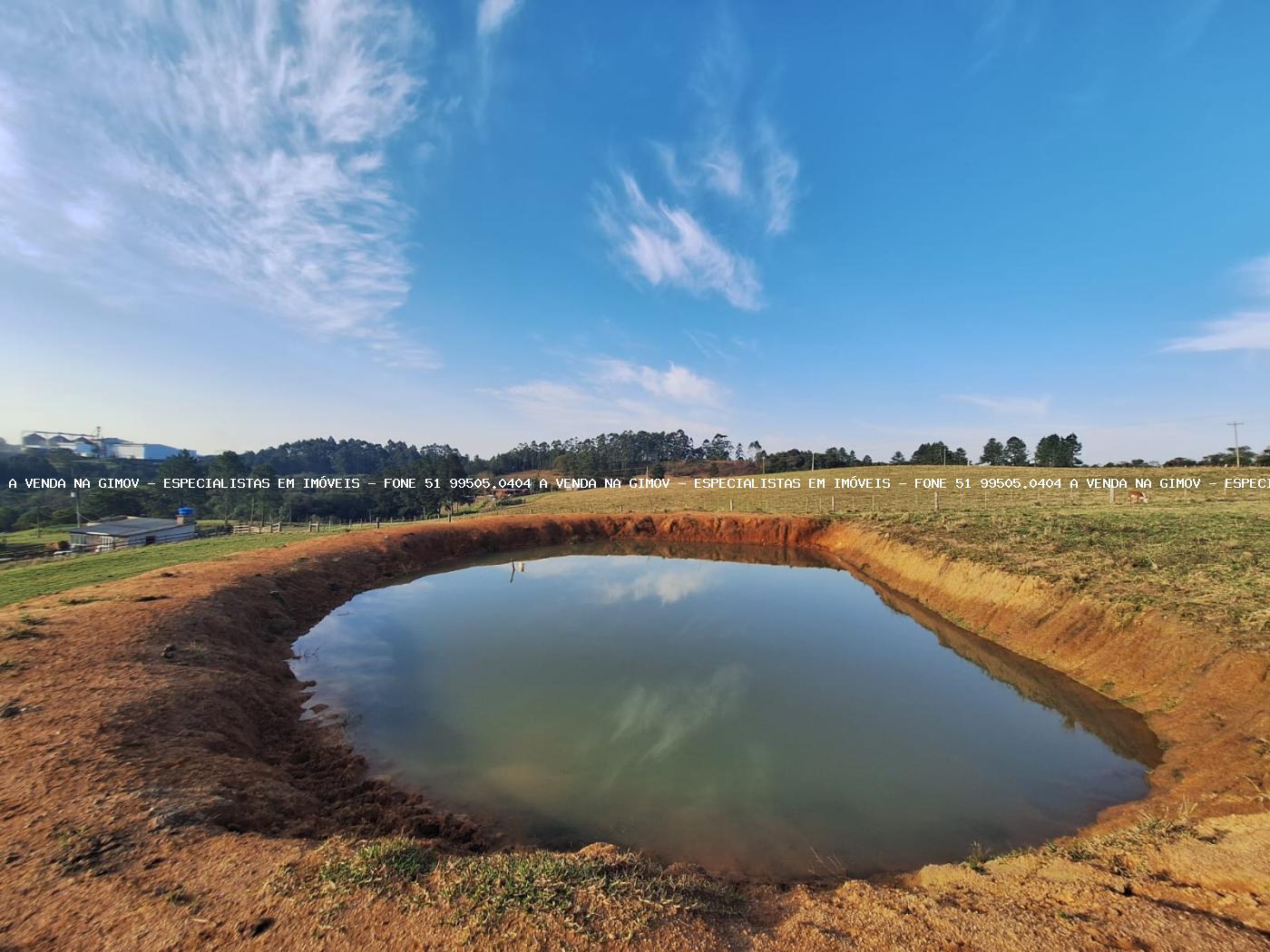 Fazenda à venda com 4 quartos, 80000m² - Foto 31