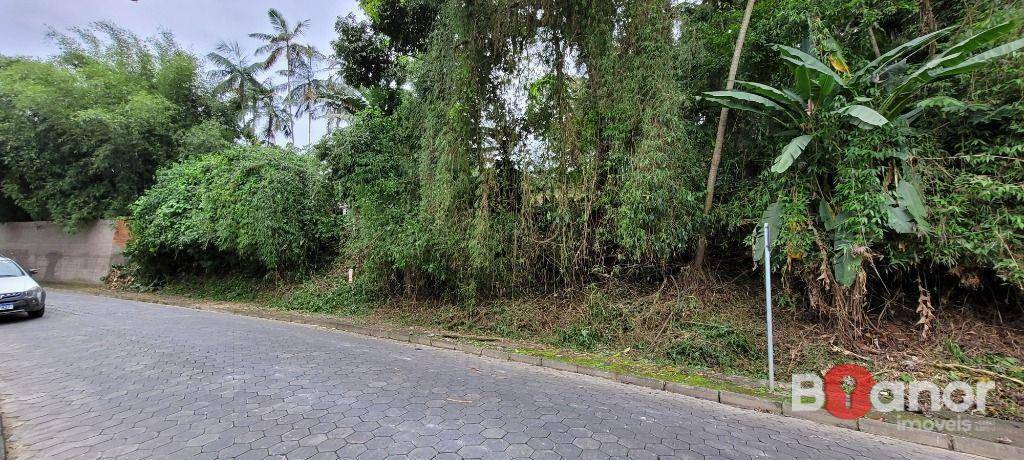 Terreno, 2316 m² - Foto 2