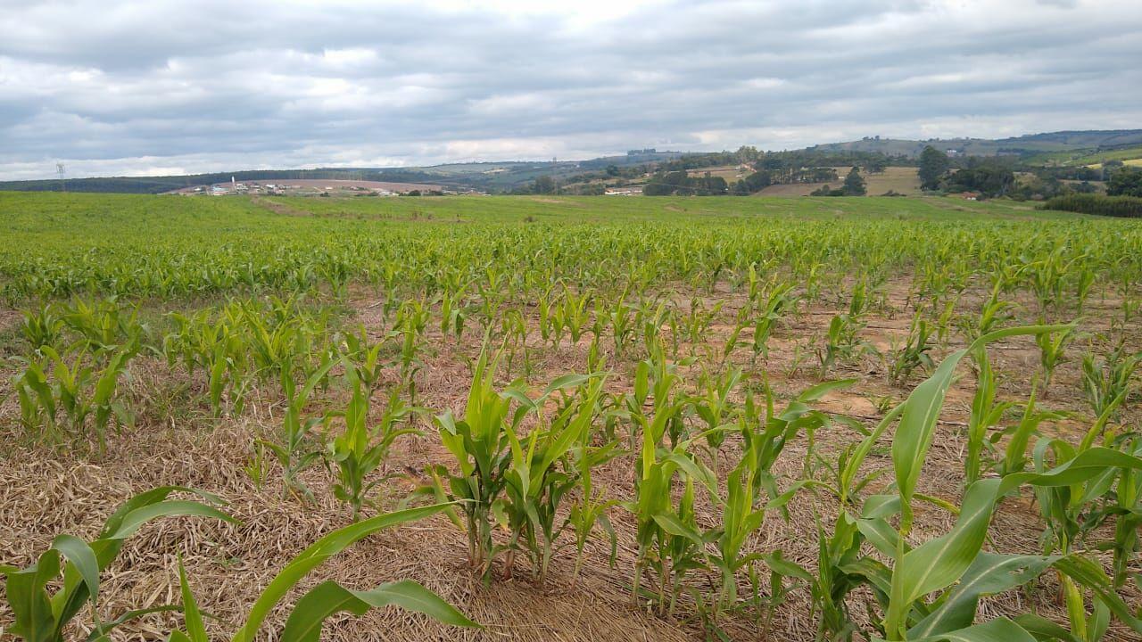 Fazenda à venda com 1 quarto, 968000m² - Foto 3