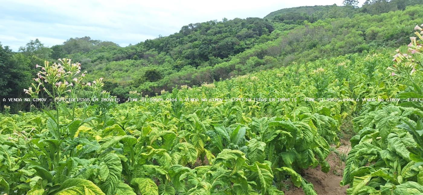 Loteamento e Condomínio à venda, 120000m² - Foto 19