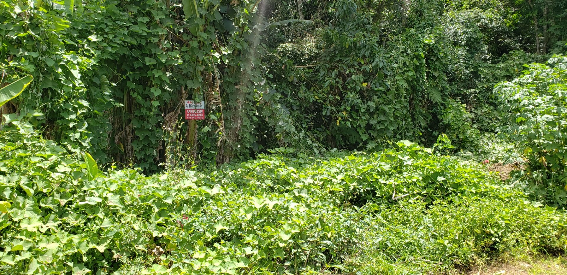 Loteamento e Condomínio à venda, 1020M2 - Foto 11