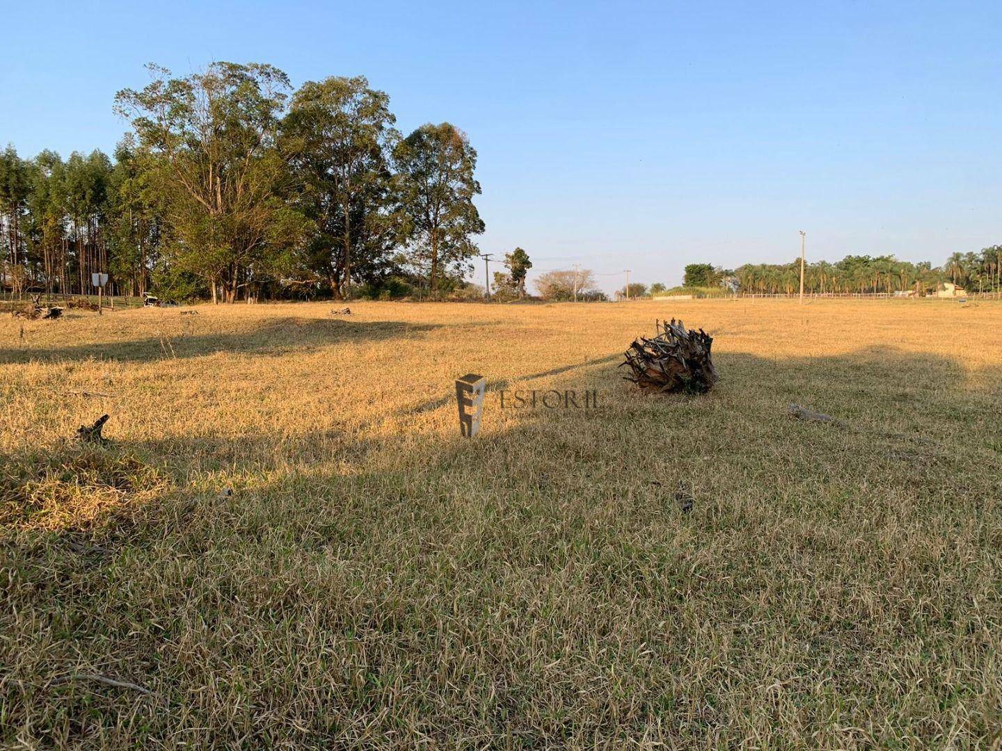 Terreno à venda, 41140M2 - Foto 2