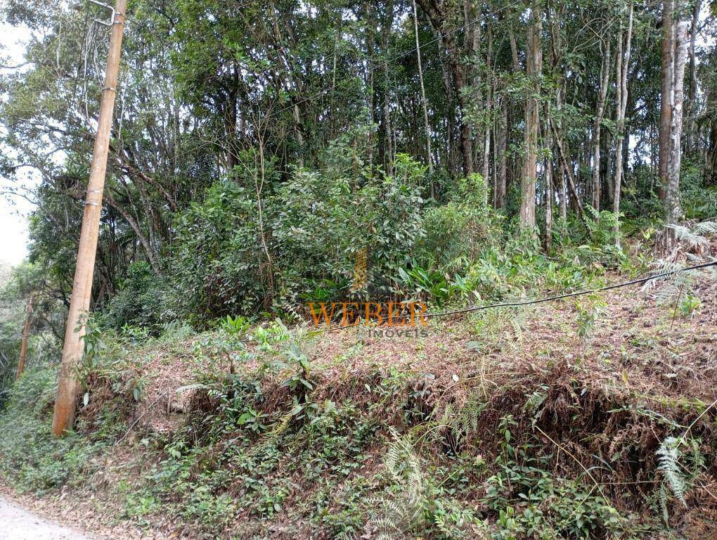 Terreno à venda, 6462M2 - Foto 2