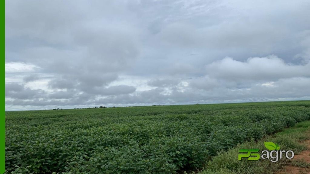 Fazenda-Sítio-Chácara, 4353 hectares - Foto 4