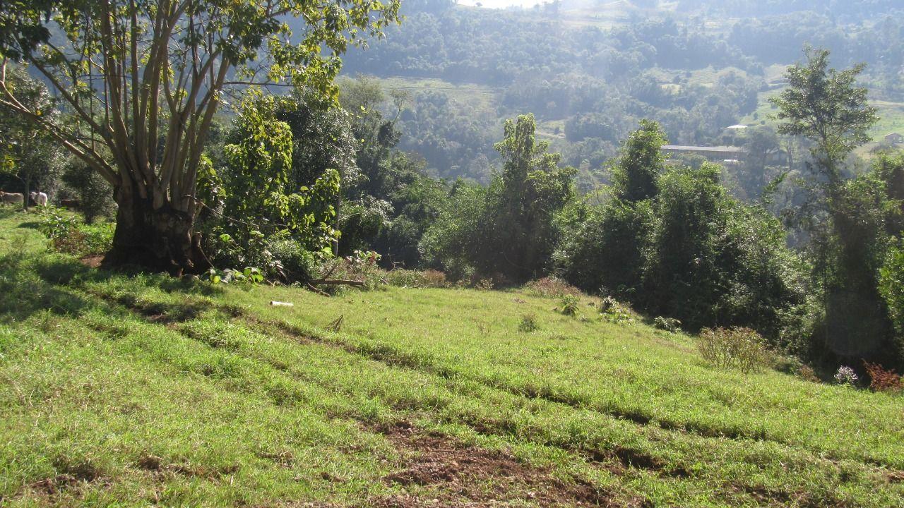 Loteamento e Condomínio à venda, 30000m² - Foto 9