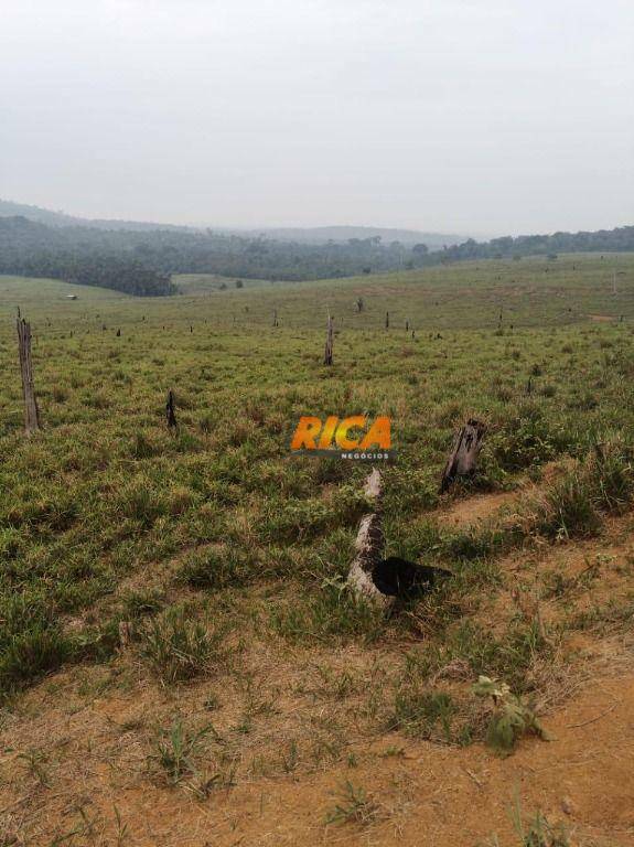 Fazenda à venda, 1700000M2 - Foto 11