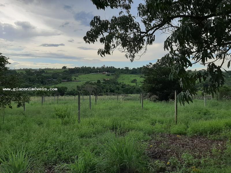 Fazenda à venda com 2 quartos, 22900m² - Foto 19