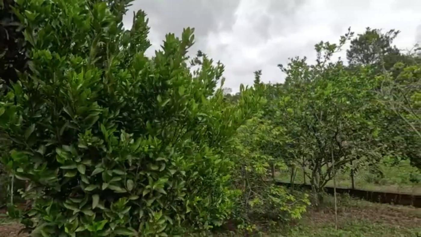 Chácara à venda com 3 quartos, 1000m² - Foto 24
