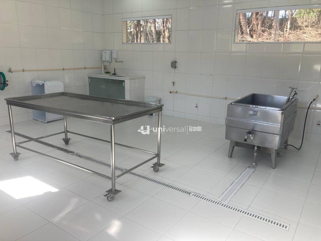 Fazenda à venda com 5 quartos, 383100M2 - Foto 32