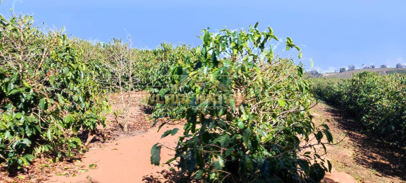 Sítio, 10 m² - Foto 20