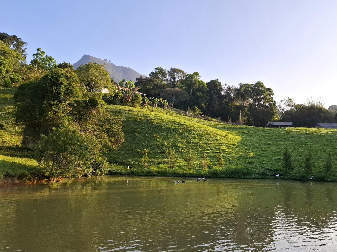 Fazenda à venda com 3 quartos, 90000m² - Foto 45