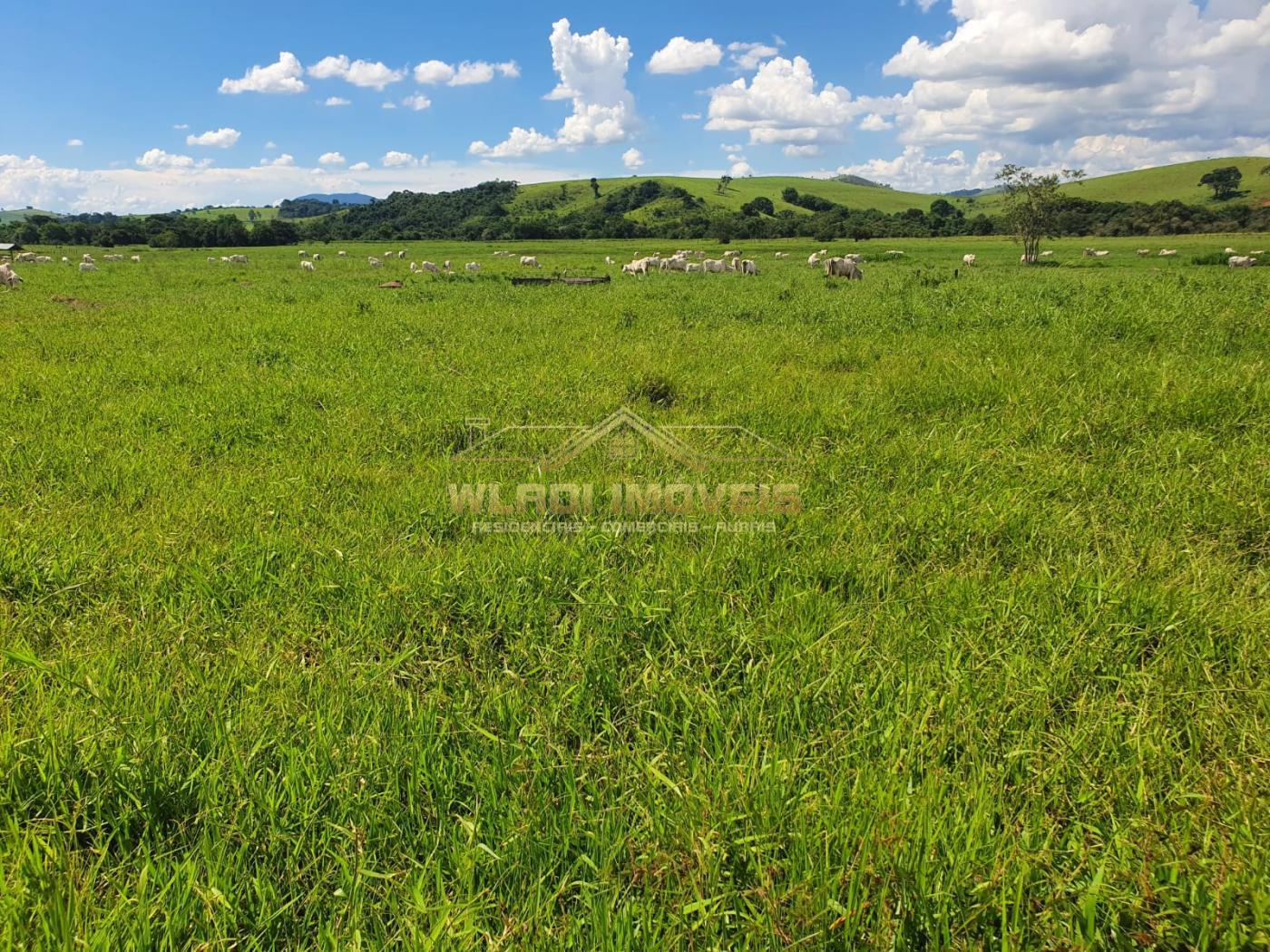 Fazenda à venda, 224m² - Foto 13