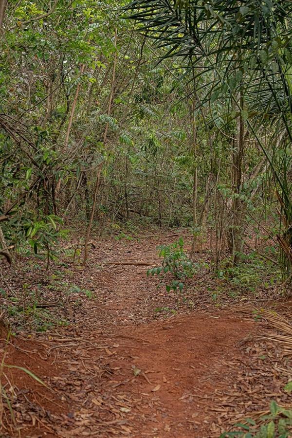 Terreno à venda, 5000m² - Foto 16