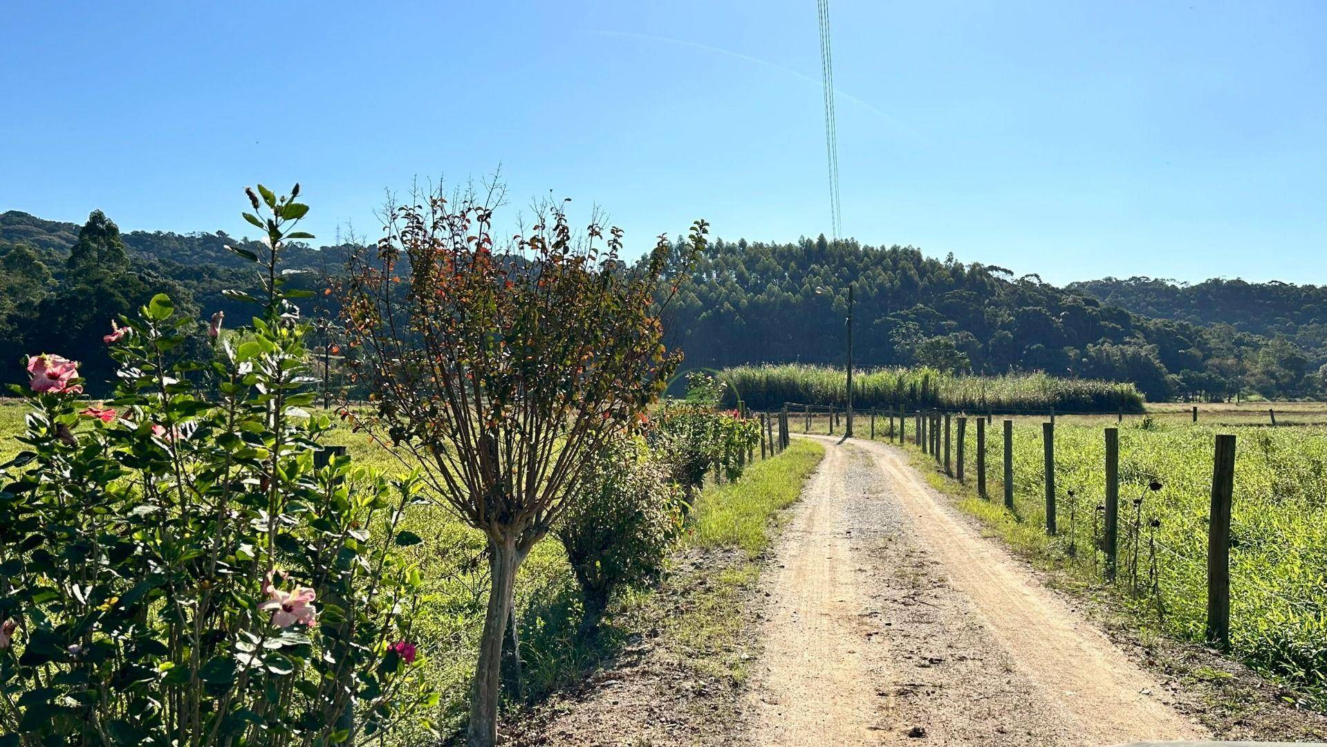 Terreno, 27 hectares - Foto 33