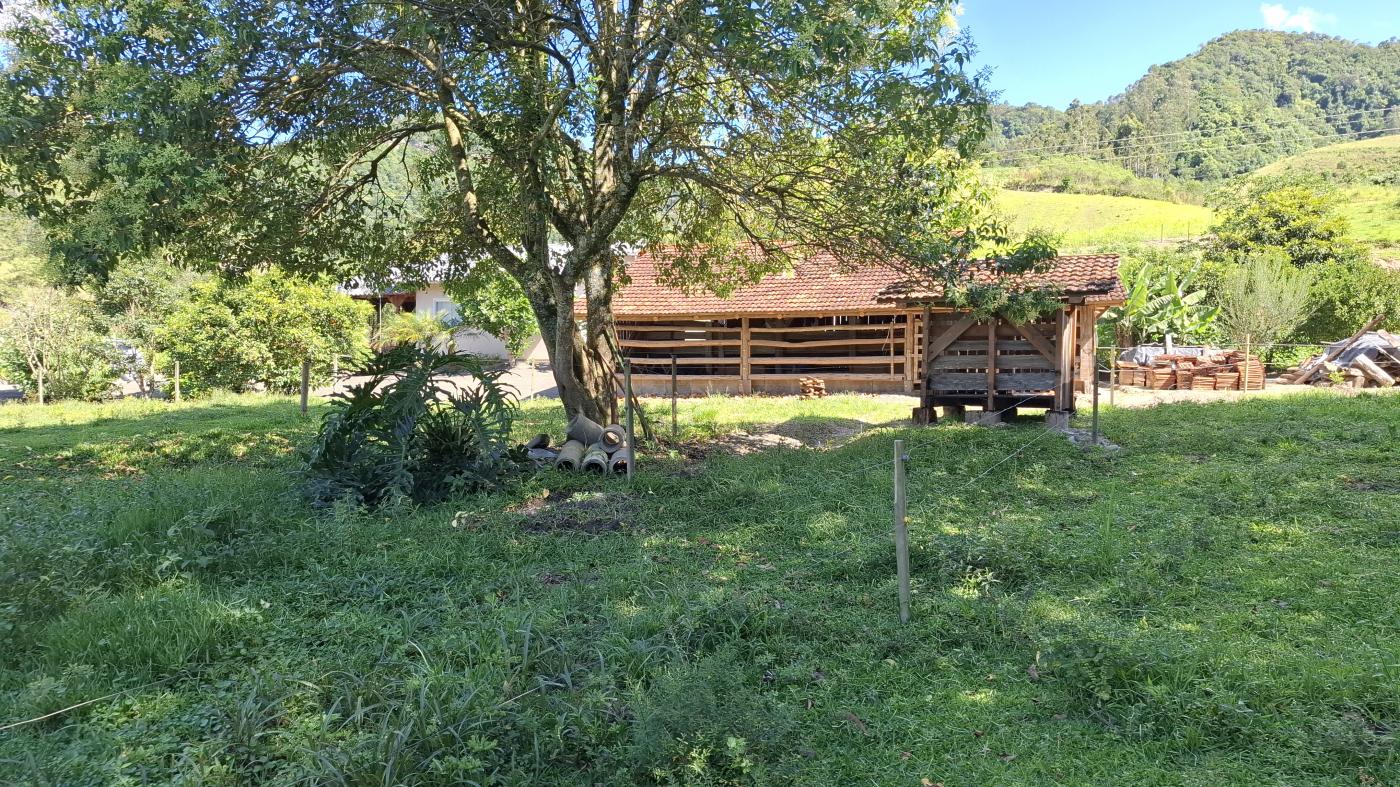 Fazenda à venda com 3 quartos, 20000m² - Foto 5