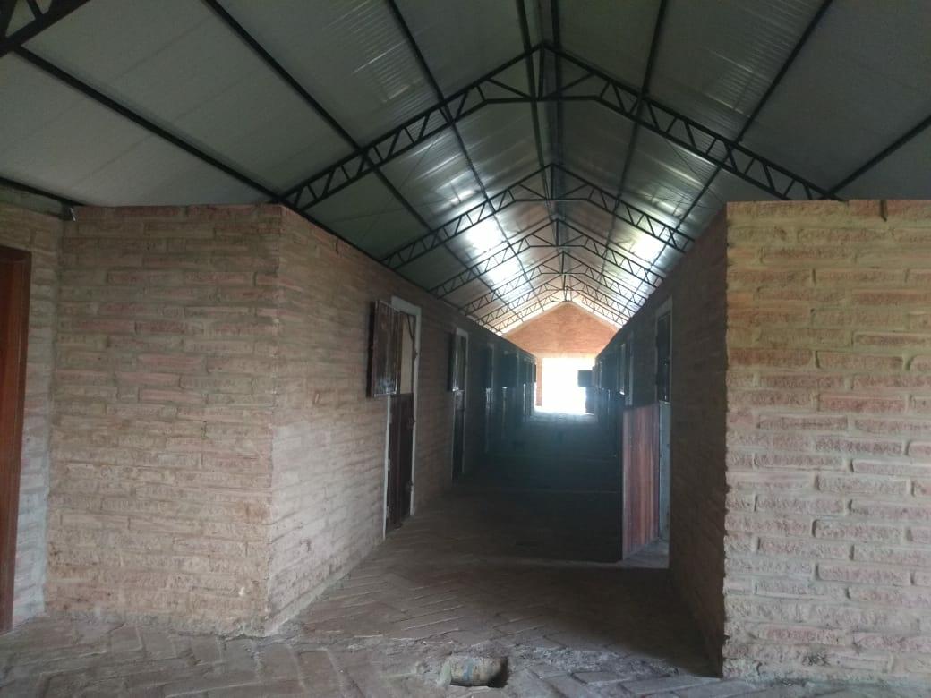 Sítio à venda com 1 quarto, 6000m² - Foto 23