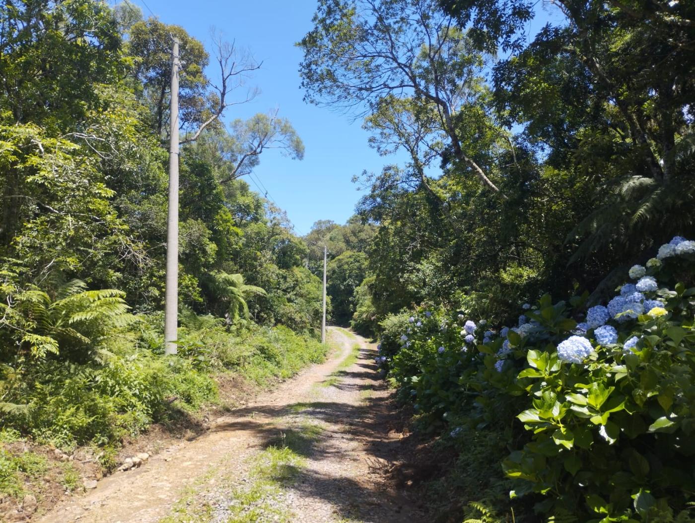 Terreno à venda, 2520m² - Foto 6