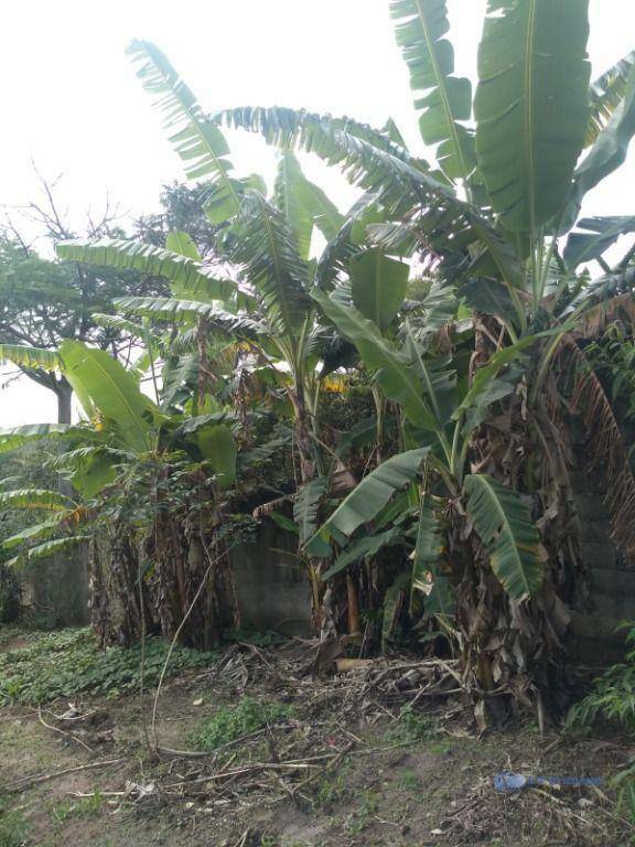 Terreno à venda, 1000M2 - Foto 7