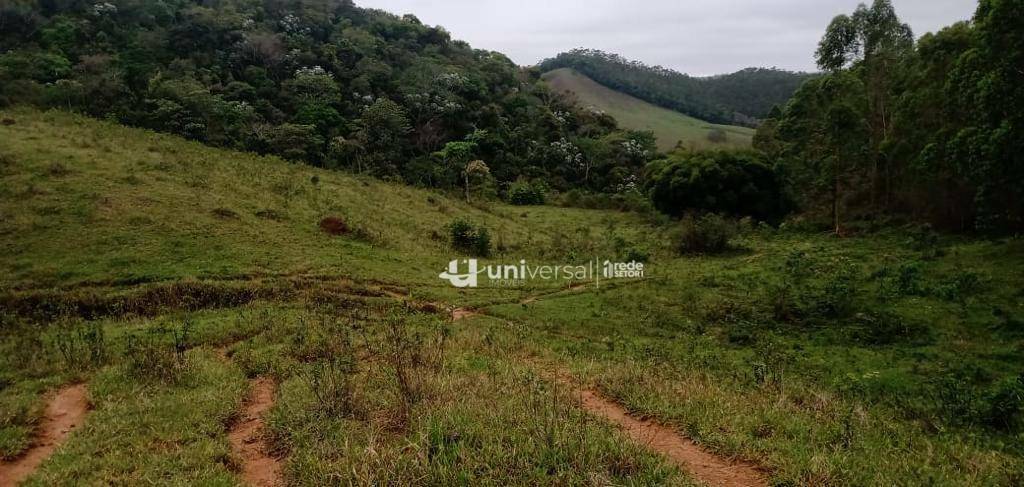 Fazenda à venda com 3 quartos, 1110000M2 - Foto 56