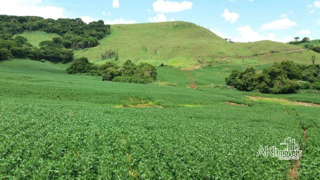 Fazenda à venda com 1 quarto, 2819300M2 - Foto 16
