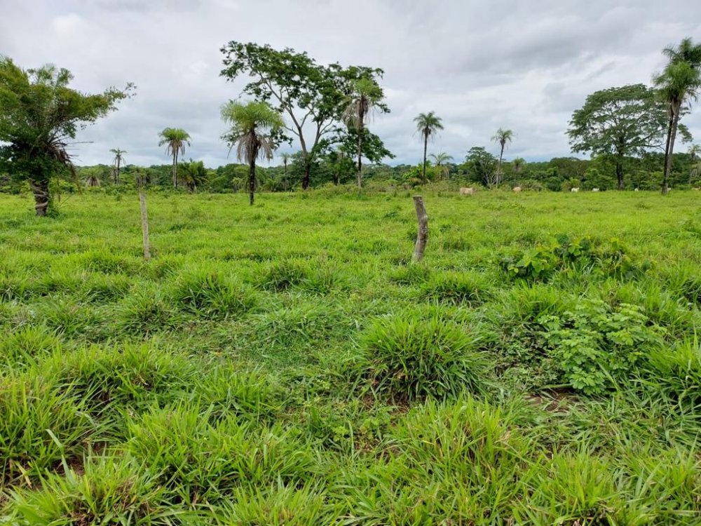 Fazenda à venda, 2575m² - Foto 13