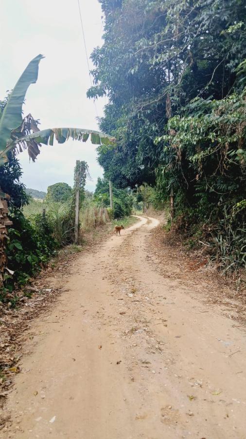 Fazenda à venda com 3 quartos, 1000m² - Foto 20