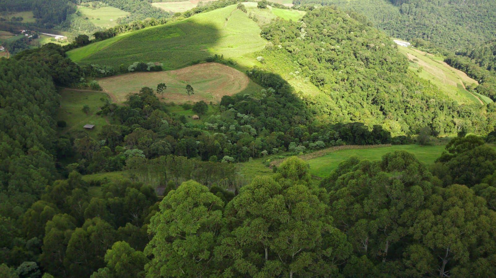 Casa à venda, 140000m² - Foto 5