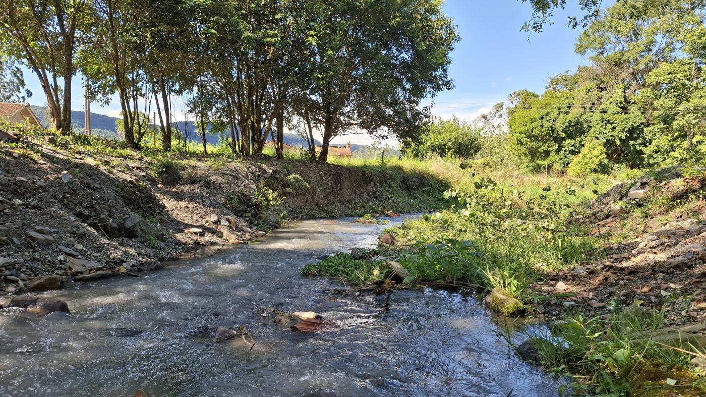 Fazenda à venda com 3 quartos, 20000m² - Foto 3