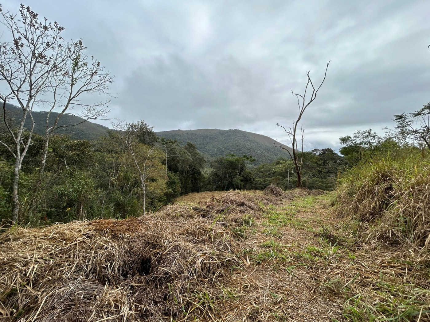 Terreno à venda, 178000m² - Foto 23
