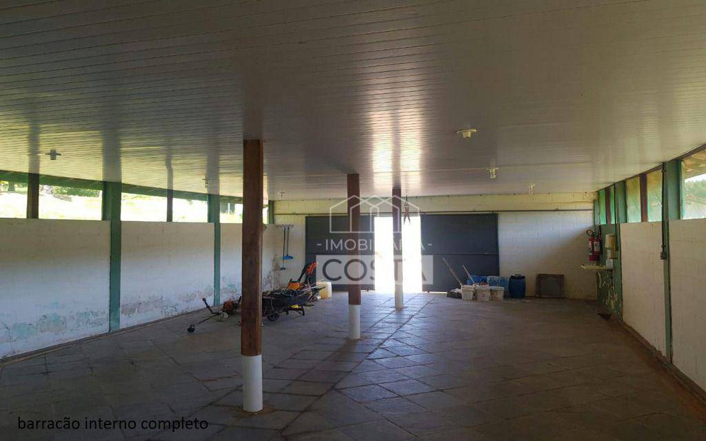Sítio à venda com 4 quartos, 16600M2 - Foto 22