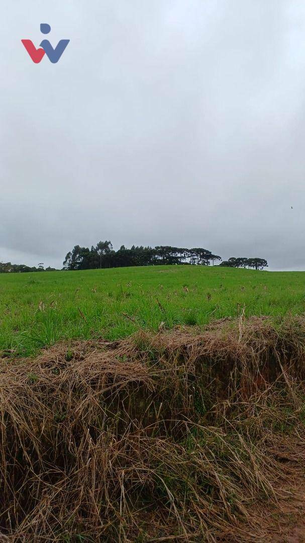 Fazenda à venda, 254100000M2 - Foto 6