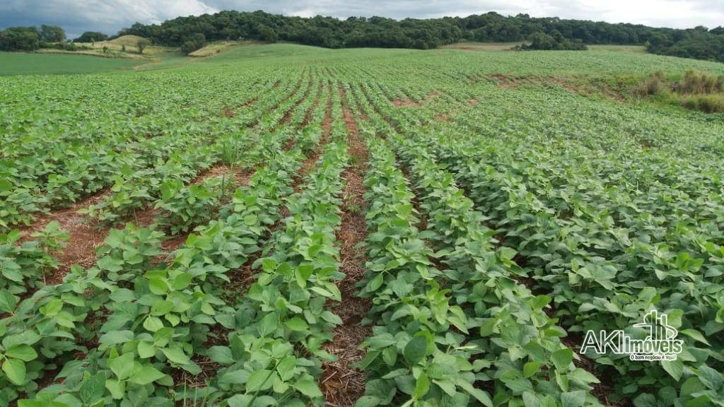 Fazenda à venda com 1 quarto, 2819300M2 - Foto 6